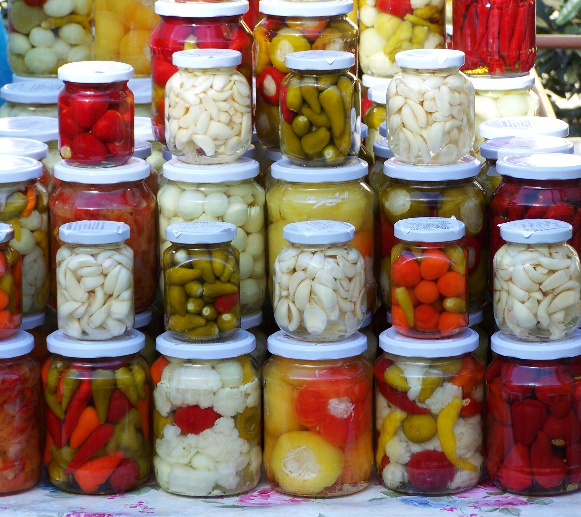 Fermented Foods