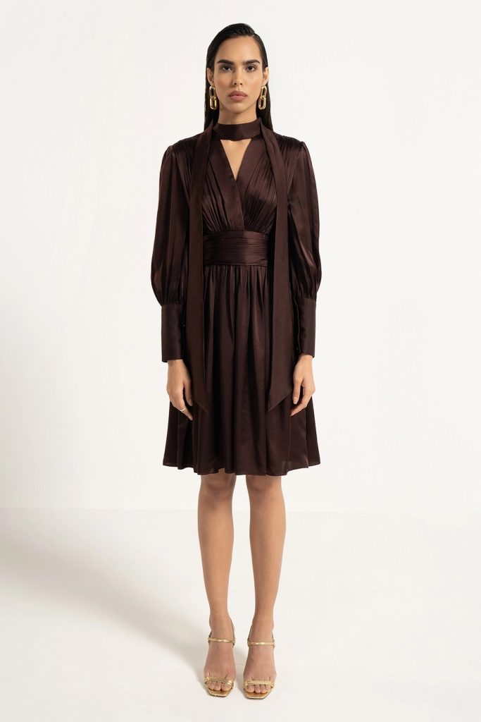 Brown Silk Pleated Dress