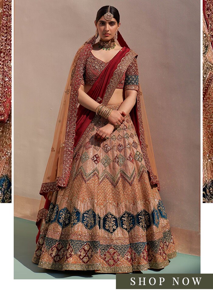 Heavily embroidered lehenga