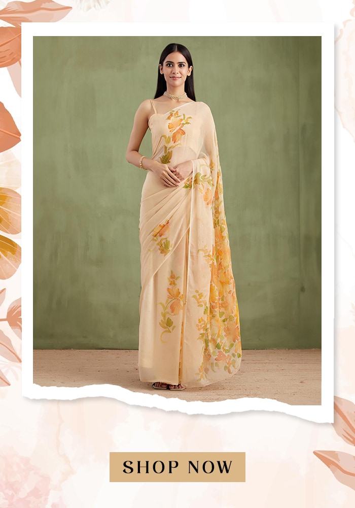 Hand-painted chiffon saree 