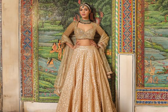 Lehenga Blouse Designs