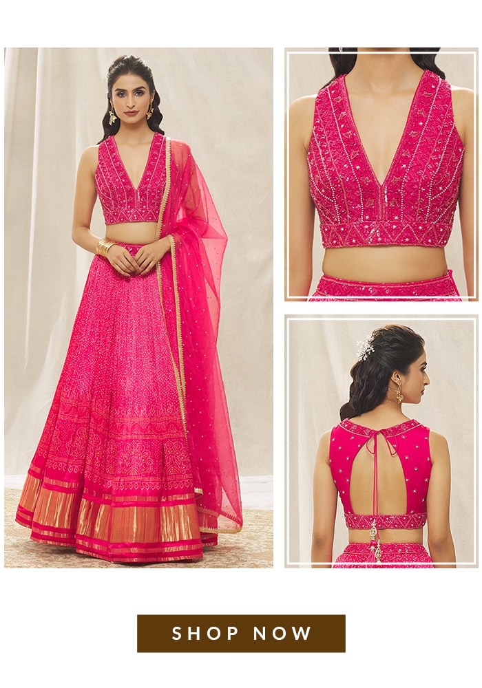 Pink Embellished Lehenga