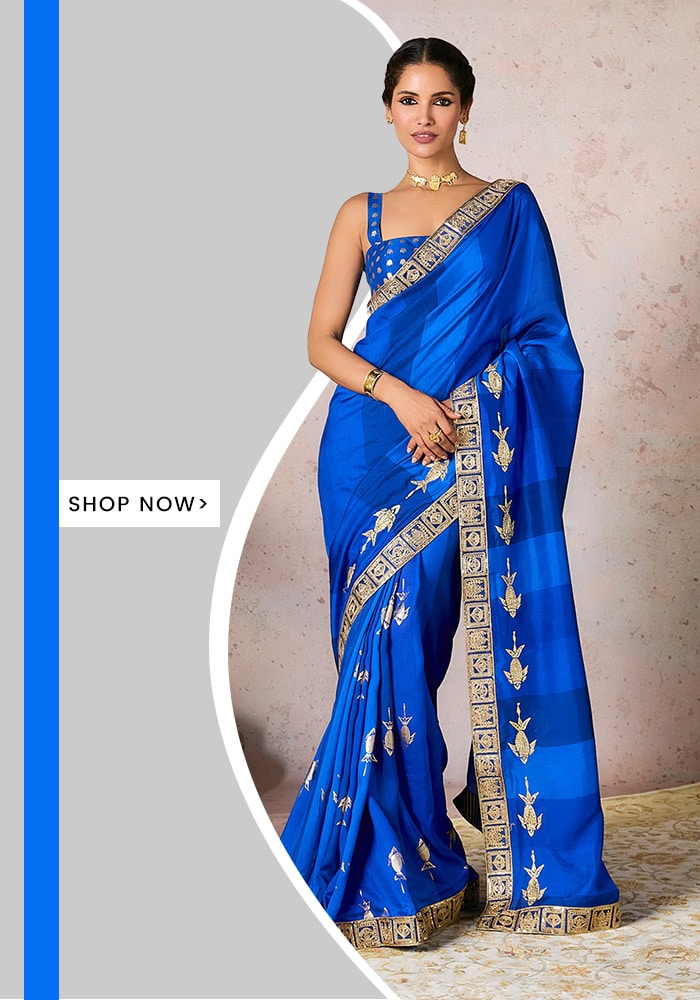 Blue Raw Silk Embroidery Mystic Fish Motif Saree