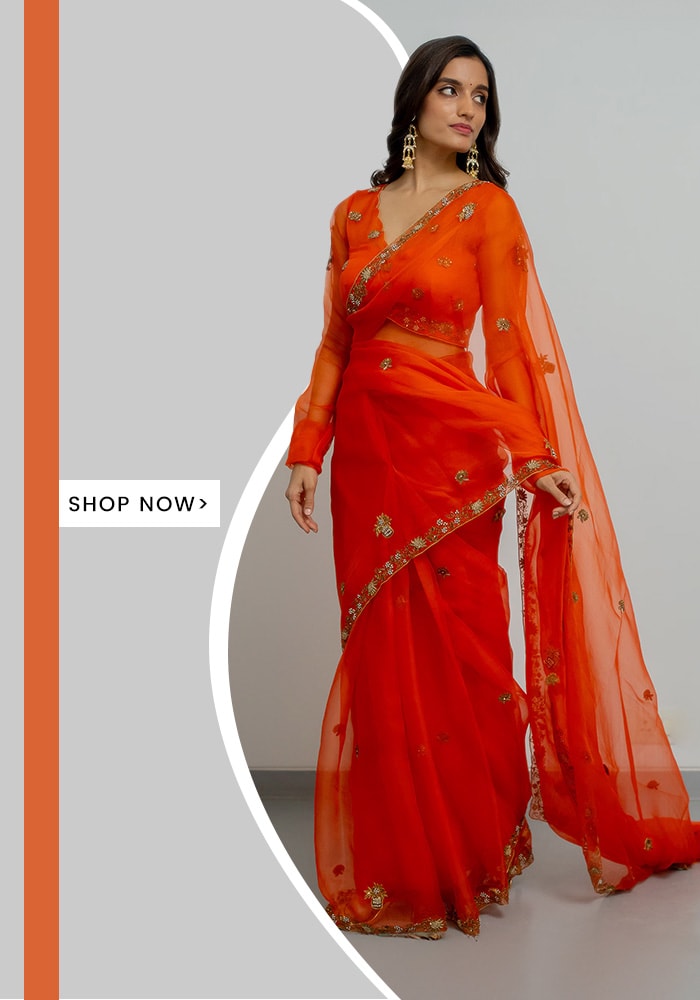 Orange Saree Silk Organza Hand Rashi Border With Blouse