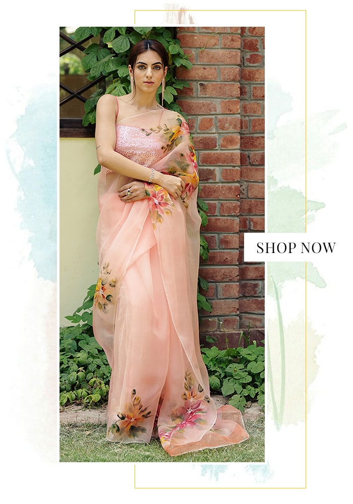 Hand-painted organza saree