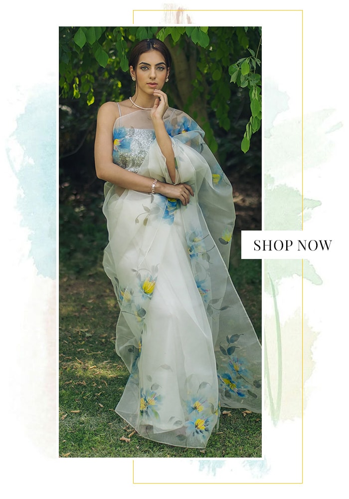 Hand-painted organza designer saree